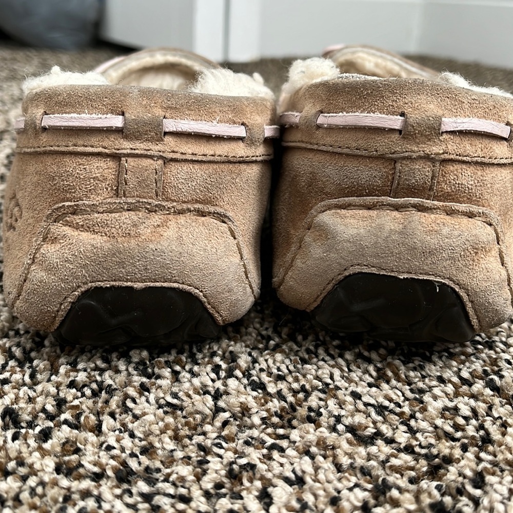 Ugg Dakota Slipper, worn - Picture 4 of 7